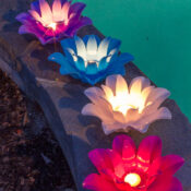 54513 | Set of 4 Floating Lotus Lights - Lifestyle 4