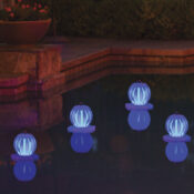 54501 | Solar Lantern - Blue Lifestyle 5