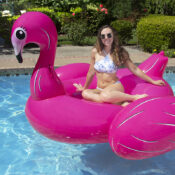 83678LSFlamingo02RGB800px
