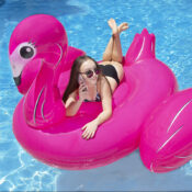 83678LSFlamingo04RGB800px