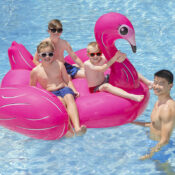 83678LSFlamingoIslandBoysGroupRGB800px