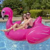 83678LSFlamingoIslandCoupleRGB800px