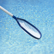 21188LsLeafSkimmer02RGB800px