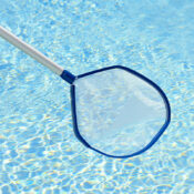 21190LsLeafSkimmer02RGB800px