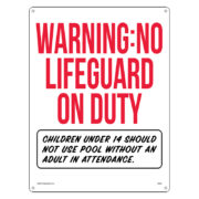 Warning: No Lifeguard on Duty