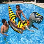 81735 | T-Rex Rider - Lifestyle