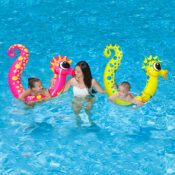 81746 LS SeahorseNoodleGroupPicture1RGB800px