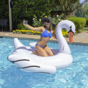 83677LSJumboSwan07RGB800px