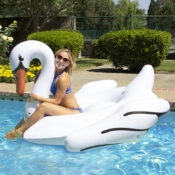 83677LsJumboSwan3RGB800px