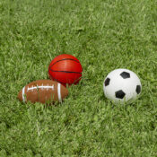 72731Ls3PkGameBalls01RGB800px