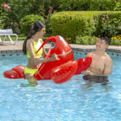 81771LsLobsterRider02RGB800px