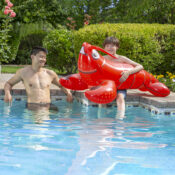 81771LsLobsterRider06RGB800px