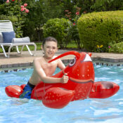 81771LsLobsterRider09RGB800px