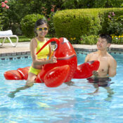 81771LsLobsterRider13RGB800px