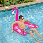 85589 | Flamingo Sling Chair - Lifestyle 6