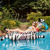 81747 LS Zebra Jumbo Rider 04RGB 800px