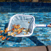 21156 LS PoleSkimmer 01RGB 800px