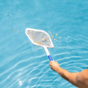 21156 LS PoleSkimmer 02RGB 800px